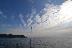 アジアマリンサービス 釣果