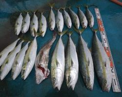 アジアマリンサービス 釣果