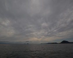 アジアマリンサービス 釣果