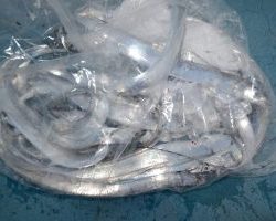 アジアマリンサービス 釣果