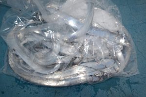 アジアマリンサービス 釣果