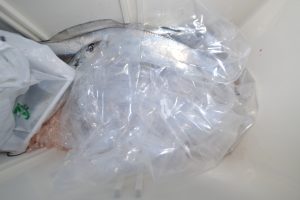 アジアマリンサービス 釣果
