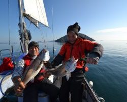 アジアマリンサービス 釣果