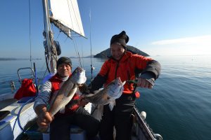 アジアマリンサービス 釣果