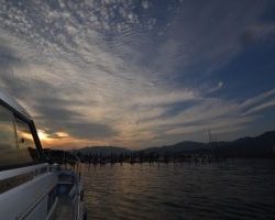 アジアマリンサービス 釣果