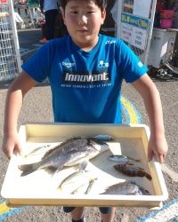 和歌山マリーナシティ釣り公園 釣果