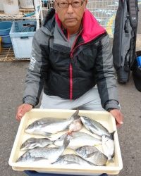 和歌山マリーナシティ釣り公園 釣果