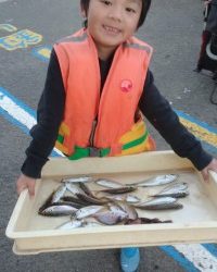 和歌山マリーナシティ釣り公園 釣果