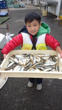 和歌山マリーナシティ釣り公園 釣果