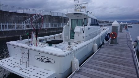 フィッシングボートACE(エース) 釣果