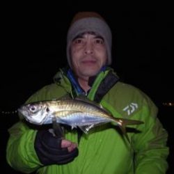 シーマジカル 釣果