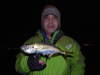 シーマジカル 釣果