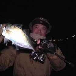 シーマジカル 釣果