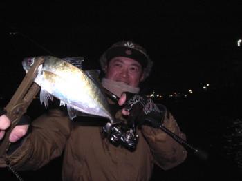 シーマジカル 釣果