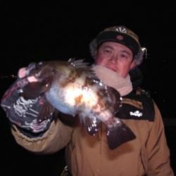 シーマジカル 釣果