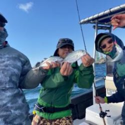 シーマジカル 釣果