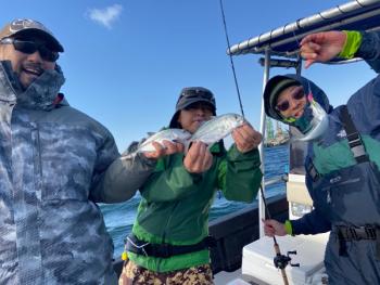 シーマジカル 釣果