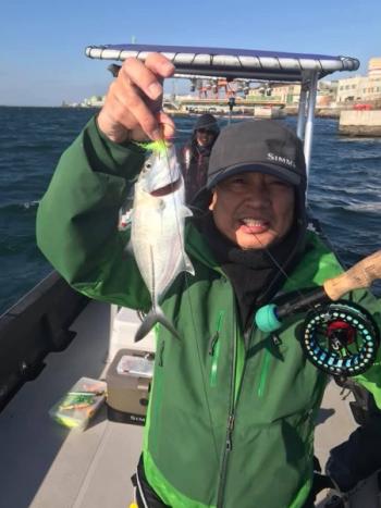 シーマジカル 釣果