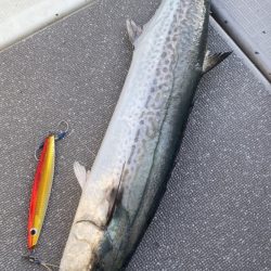 まるいち丸 ZERO-1 釣果