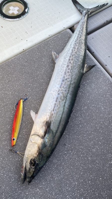 まるいち丸 ZERO-1 釣果