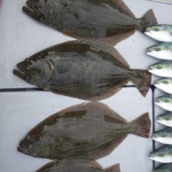 磯部釣船 直栄丸 釣果