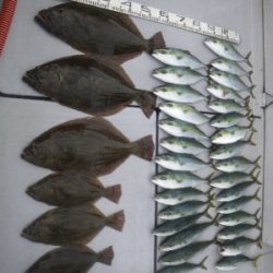 磯部釣船 直栄丸 釣果