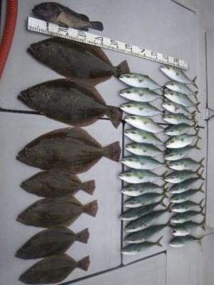 磯部釣船 直栄丸 釣果