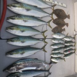 磯部釣船 直栄丸 釣果