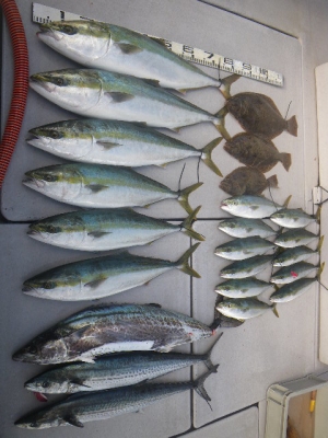 磯部釣船 直栄丸 釣果