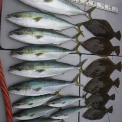 磯部釣船 直栄丸 釣果