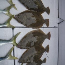 磯部釣船 直栄丸 釣果