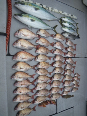 磯部釣船 直栄丸 釣果