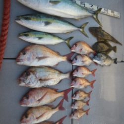 磯部釣船 直栄丸 釣果