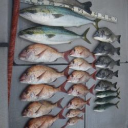 磯部釣船 直栄丸 釣果