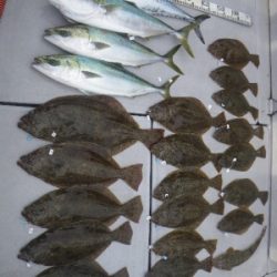 磯部釣船 直栄丸 釣果