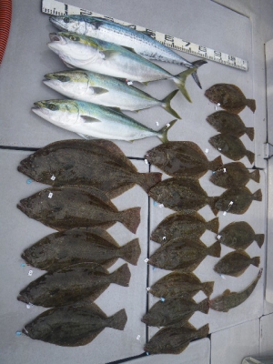 磯部釣船 直栄丸 釣果