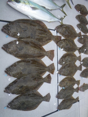 磯部釣船 直栄丸 釣果