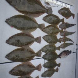 磯部釣船 直栄丸 釣果