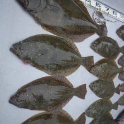 磯部釣船 直栄丸 釣果