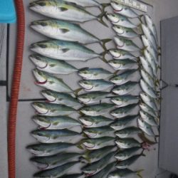 磯部釣船 直栄丸 釣果