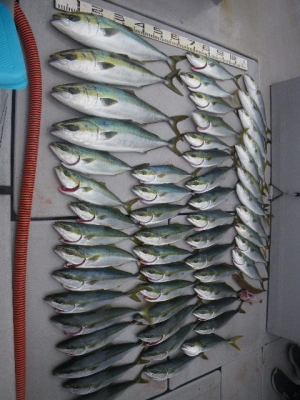 磯部釣船 直栄丸 釣果