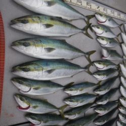 磯部釣船 直栄丸 釣果