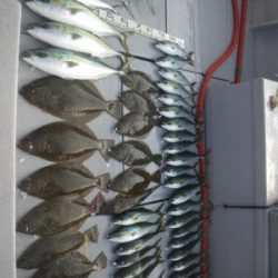 磯部釣船 直栄丸 釣果