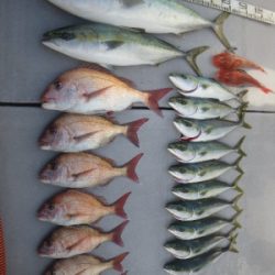 磯部釣船 直栄丸 釣果