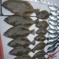 磯部釣船 直栄丸 釣果