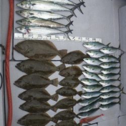 磯部釣船 直栄丸 釣果