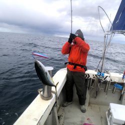 オーシャンズ　京都 釣果