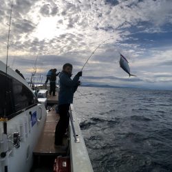 オーシャンズ　京都 釣果