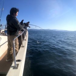 オーシャンズ 京都 釣果