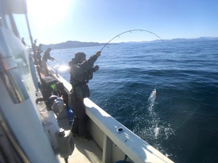 オーシャンズ 京都 釣果